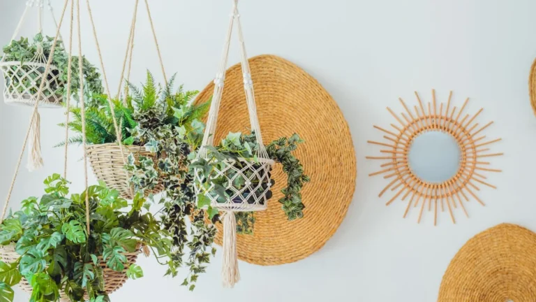 Hanging plants