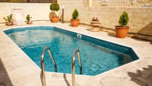 Best Outdoor Potted Plants Around Pool