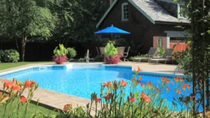 Best plants around pool