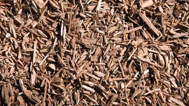 Cedar Bark Mulch