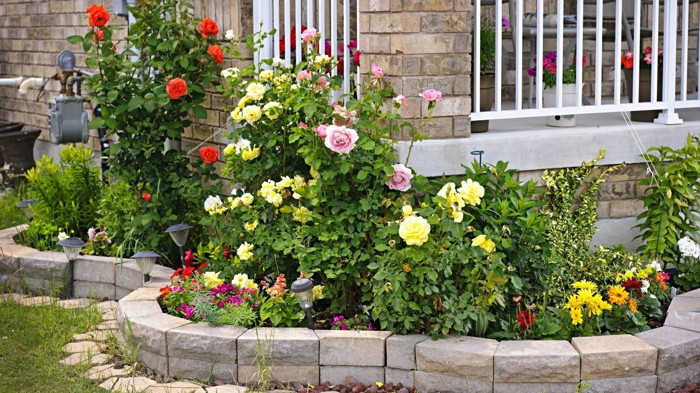 Creating a Focal Point
