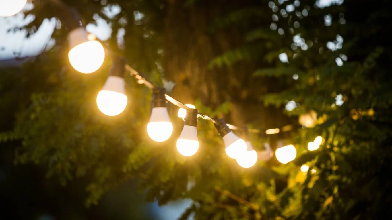 Fairy Light Magic