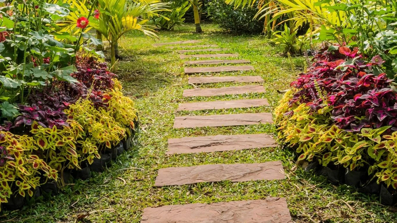 Lining Pathways and Corners