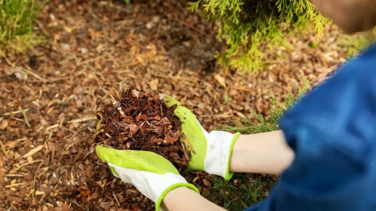 Mulching