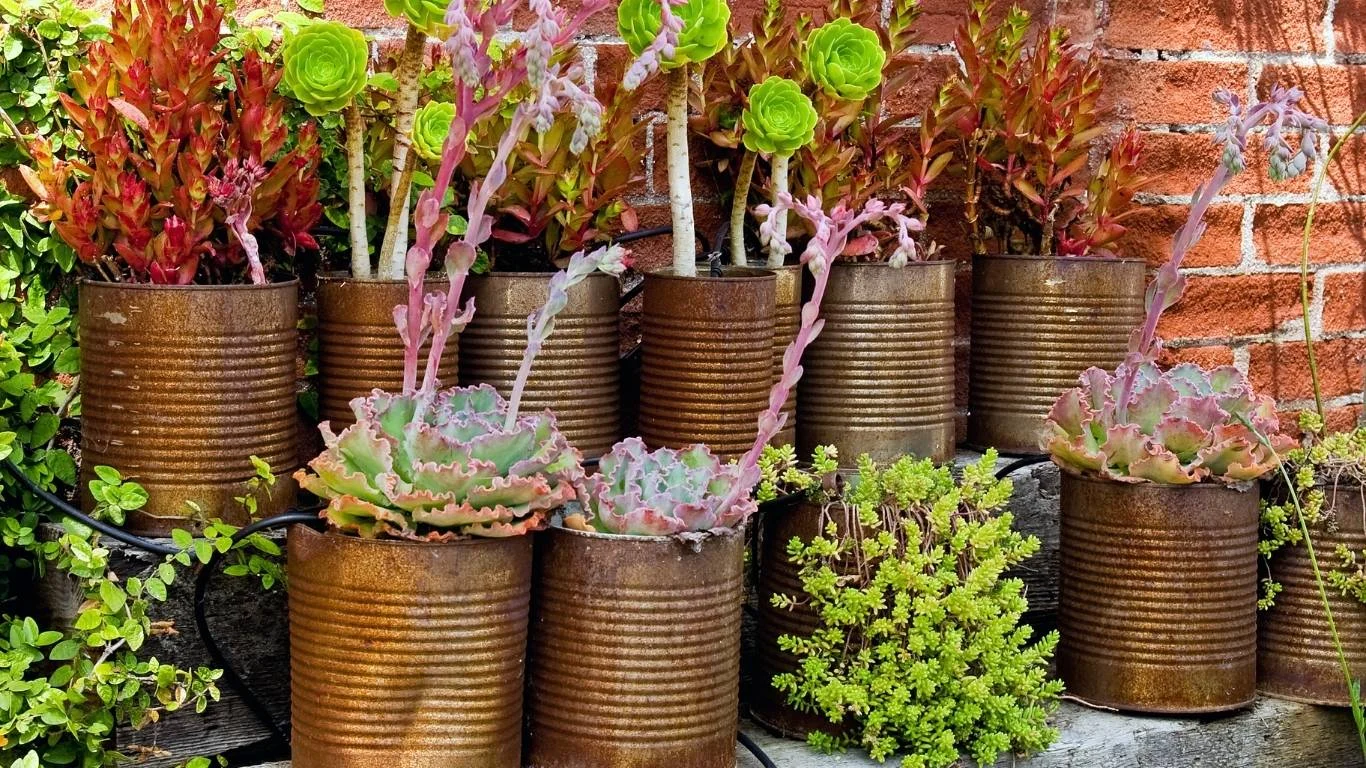 Repurposed Containers